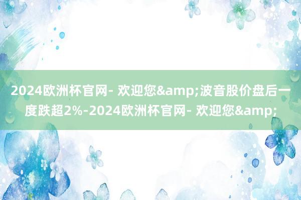 2024欧洲杯官网- 欢迎您&　　波音股价盘后一度跌超2%-2024欧洲杯官网- 欢迎您&