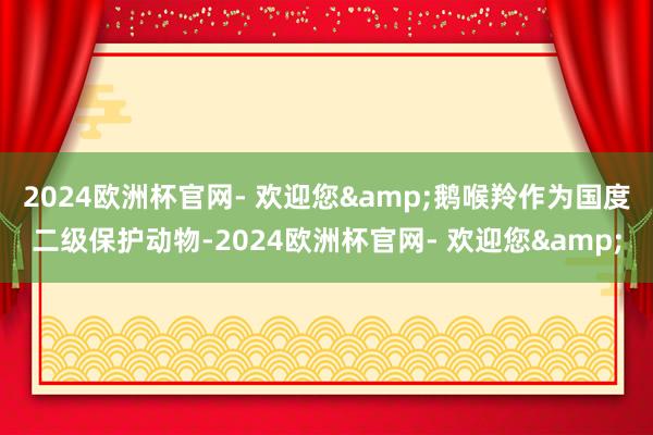 2024欧洲杯官网- 欢迎您&鹅喉羚作为国度二级保护动物-2024欧洲杯官网- 欢迎您&
