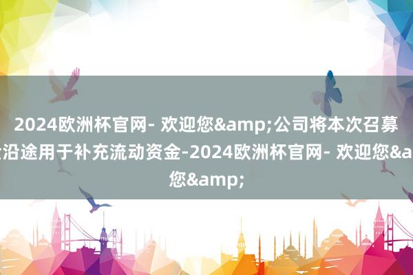 2024欧洲杯官网- 欢迎您&公司将本次召募资金沿途用于补充流动资金-2024欧洲杯官网- 欢迎您&