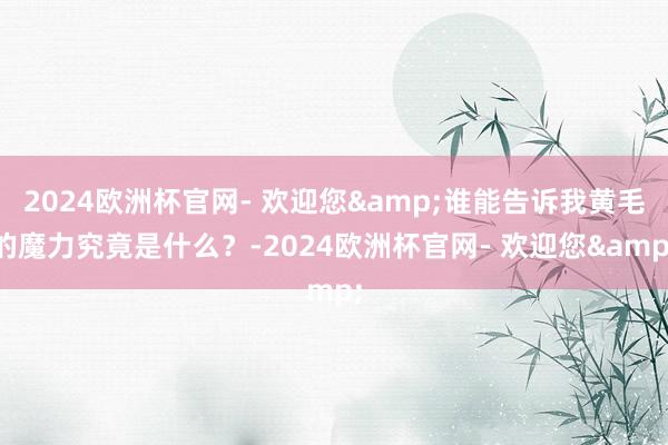 2024欧洲杯官网- 欢迎您&谁能告诉我黄毛的魔力究竟是什么？-2024欧洲杯官网- 欢迎您&