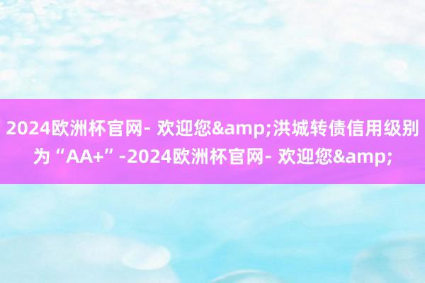 2024欧洲杯官网- 欢迎您&洪城转债信用级别为“AA+”-2024欧洲杯官网- 欢迎您&