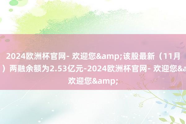 2024欧洲杯官网- 欢迎您&该股最新（11月21日）两融余额为2.53亿元-2024欧洲杯官网- 欢迎您&